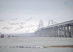 По Крымскому мосту за зиму проехало более полумиллиона автомобилей
