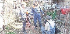 В Бахчисарае спасли собаку, упавшую в колодец