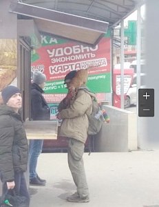 В столице Крыма автомобилистка проехалась по спящему коту на пешеходной зоне в центре города