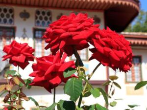 Мастер-класс Ханские розы произойдёт в Бахчисарайском музее-заповеднике