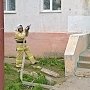 Спасатели провели учения по тушению пожара в посёлке Школьное