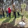 Студенты высадили деревья в Ботаническом саду им. Н.В. Багрова