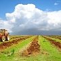 Пять земельных участков сельхозназначения планируется передать в муниципальную собственность Черноморского района