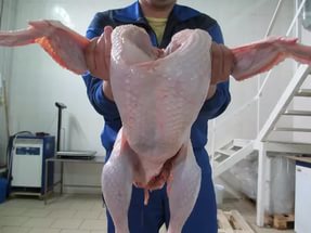 В Крымстате подсчитали количество произведённых с начала года щебня и мяса