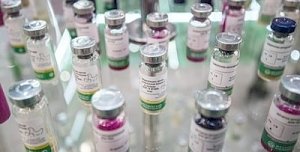 Саботаж? Крымские чиновники сознательно сорвали массовую вакцинацию животных
