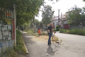В Симферополе за неделю скосили сорняков на площади в 140 тыс. кв.м.