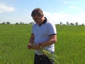 В 2018 году молодые специалисты сельскохозяйственной отрасли Крыма в сёлах получили 22 млн рублей помощи