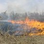 Крымские спасатели ликвидировали крупный пожар