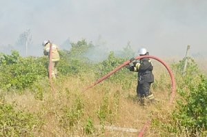 Возгорание сухой растительности в районе седьмого километра Балаклавского шоссе