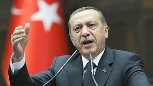 Эрдоган "разочаровал" крымских политиков