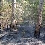 За три дня крымские огнеборцы ликвидировали 17 очагов возгорания сухой травы