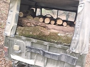 Белогорские лесники задержали двух граждан, которые незаконно заготавливали дрова
