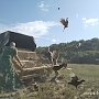 Охотничьи угодья в Крыму пополнились фазанами