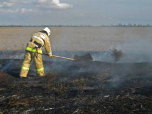 За выходные огнеборцы 10 раз тушили горящий сухостой в Крыму