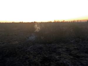 Огнеборцы в Бахчисарайском районе два раза тушили горящий сухостой