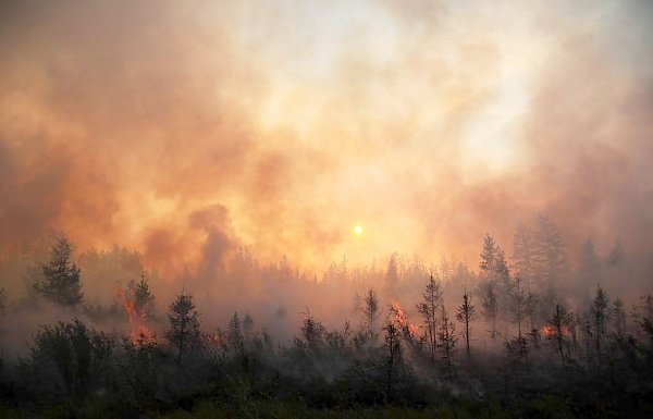 Коммунисты настаивают на увеличении финансирования компаний по тушению лесных пожаров