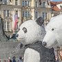 Медвежья услуга: в Севастополе назначили ответственного за все проколы правительства России и «Единой России»