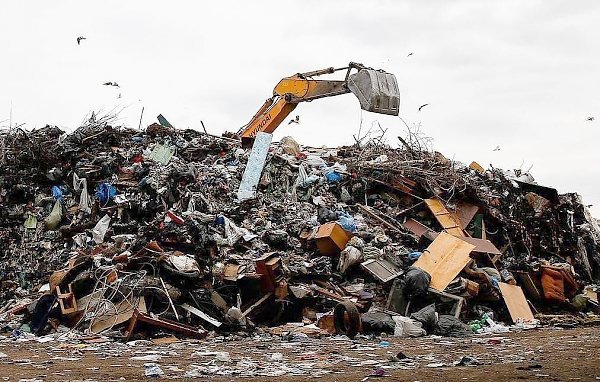«Непонятно, куда компании направляют свой мусор» Неплатежи юрлиц за вывоз отходов достигают 70%