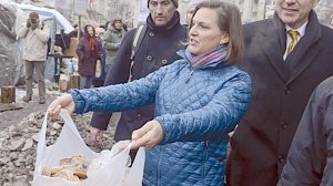 Киев требует придать спецпредставителю США на Украине статус Виктории Нуланд