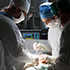 В КММЦ Св. Луки Крымского федерального университета помогают пациентам со сложными хирургическими заболеваниями