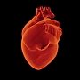 Как распознать воспаление сердечной мышцы и избежать миокардита