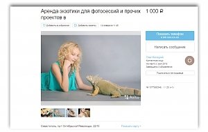 «Условный собутыльник», императорский удав и детские поделки: какие товары и услуги крымчане предлагают в интернете?