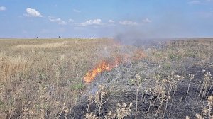 Пожарные ликвидировали возгорание сухой травы в Бахчисарайском районе