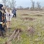 В Джанкойском районе высадили 450 саженцев молодых деревьев