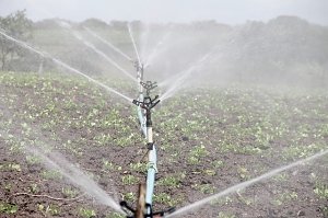 В Крыму предложили ввести ответственность для сельхозпроизводителей за неэкономное отношение к водным ресурсам
