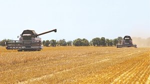 Стало известно, сколько зерна экспортирует Крым