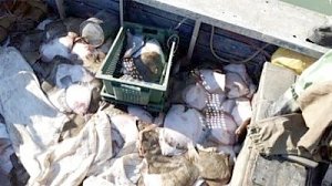 Украинские браконьеры задержаны у берегов Крыма
