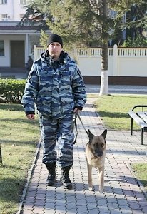 В Симферопольском районе полицейская собака Альма нашла вора и его тайник