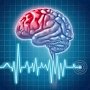Информация об отказе в госпитализации пациентам с инсультами и инфарктами в Алуште недостоверна, — Минздрав