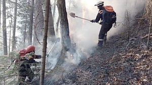 Возгорание сухой растительности в районе ущелья Уч-Кош ликвидировано, — Шахов