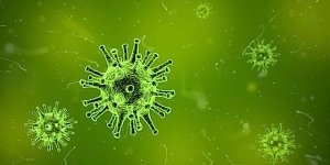 Не дошли до пика: количество заражений коронавирусом в мире растёт