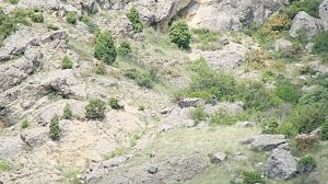 Туристка сорвалась со скалы в Бахчисарайском районе