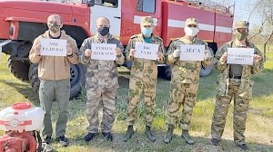 Мы ради вас тушим пожары, — лесники просят крымчан оставаться дома
