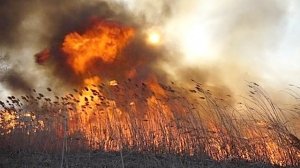 Пожар в Феодосии ликвидирован