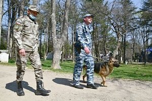 В Крыму за сутки поймали 241 нарушителя режима самоизоляции