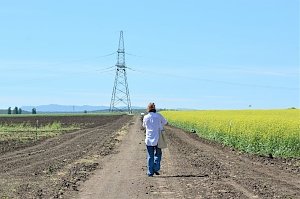 В Крыму изменили порядок извещения о намерении продать участок сельсхоз назначения