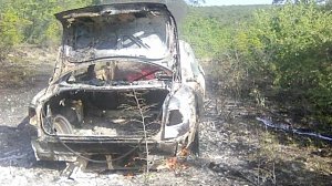 В Крыму загоревшийся автомобиль стал причиной лесного пожара