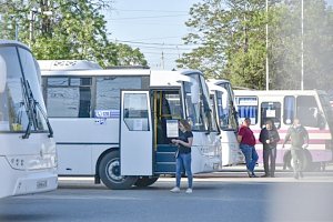 Из ДНР в Крым желают запустить прямые автобусные рейсы