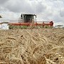 Крымские аграрии уже намолотили 366 тыс. тонн зерновых