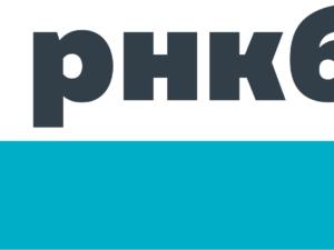 Исследование РНКБ: В первый месяц акции в общественном транспорте по картам «Мир» крымчане совершили более 350 тыс. транзакций