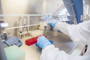 Правительство Крыма выделило из запасного фонда 15 млн рублей на закупку тестов на коронавирус