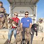 В пгт Заозёрное собаки-спасатели отрабатывали навыки поиска
