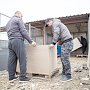 В Крыму бездомным собакам подарили 40 будок