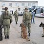 Полицейские кинологи вместе с сотрудниками Севастопольской таможни провели совместную тренировку служебных собак