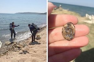 В раскопках под Керчью найден перстень с пышнотелой гречанкой