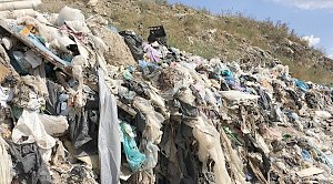 Бизнес попросил правительство ускорить начало реформы утилизации отходов